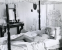 mimsy farmer image4