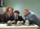moe howard photo