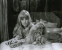 monica vitti picture3