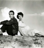 montgomery clift image2