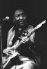 muddy waters picture2