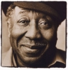 muddy waters picture3