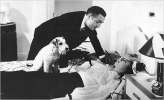 myrna loy image2