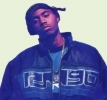 nas picture4