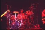 neil peart image4