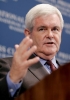 newt gingrich pic