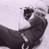 nicholas ray img nicholas ray img