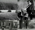 nick drake picture1