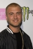 nick hogan image1
