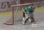 norm maracle