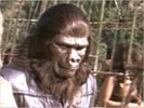 norman burton photo