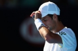 novak djokovic picture