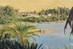 oasis