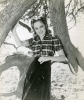 olivia de havilland image3