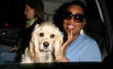oprah winfrey image2