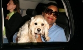 oprah winfrey image3
