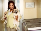 oprah winfrey pic1