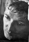 oskar werner