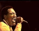 otis redding photo