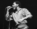 otis redding picture