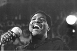 otis redding picture4