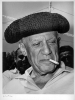 pablo picasso picture4