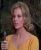 pamela austin image
