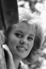 pamela austin image2