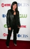 pamela segall photo