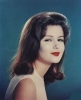 pamela tiffin img