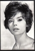 pascale petit picture
