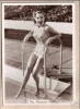 pat paterson pic1