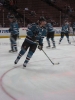 patrick marleau photo