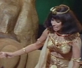 patti gilbert picture