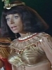 patti gilbert picture1