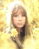 pattie boyd pic1