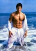 paul logan picture