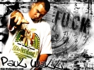 paul wall picture3