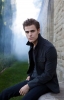 paul wesley picture