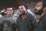 paul winfield img