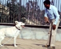 paul winfield picture4