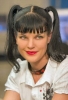 pauley perrette image2