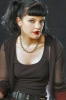 pauley perrette image4