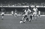 pele photo2