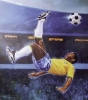 pele picture3