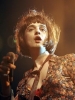 pete doherty picture2