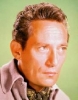peter finch picture1
