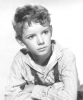 peter miles picture