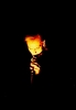 peter murphy image2