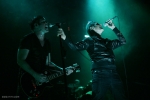 peter murphy img